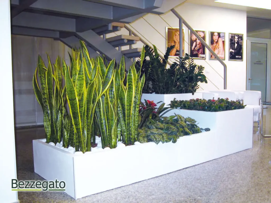 web_IMG_0012_web | Bezzegato